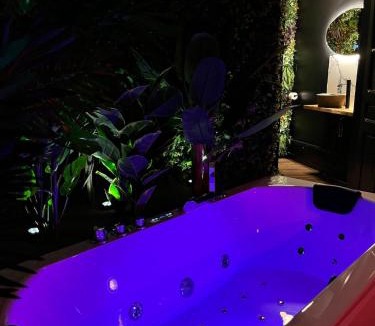 Valenciennes Apartment | Amazonia Suite - Starry Sky & Spa Bath