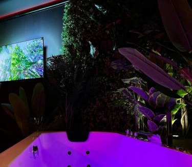 Valenciennes Apartment | Amazonia Suite - Starry Sky & Spa Bath