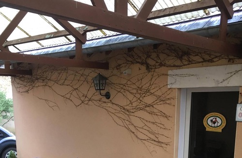 Diges House | American Guest House