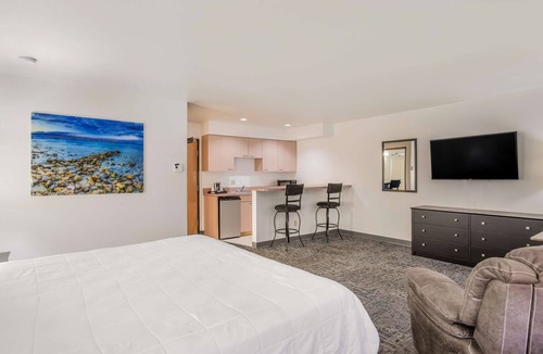 Birch Run Hotel | Americas Best Value Inn Birch Run