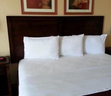 Bryant Hotel | Americas Best Value Inn Bryant