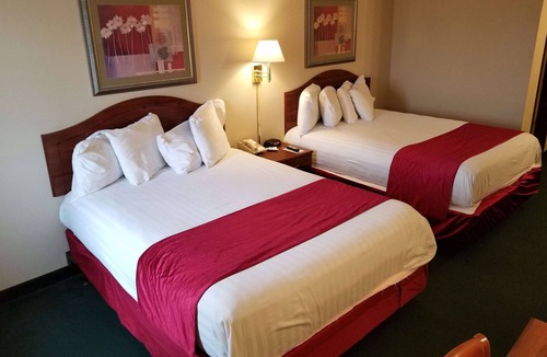 Concord Hotel | Americas Best Value Inn St. Louis South