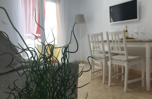 Alicante Apartment | Amiga