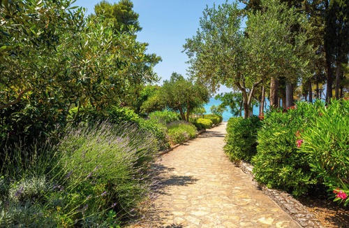 Supetar Hotel | Aminess Vival Velaris Resort