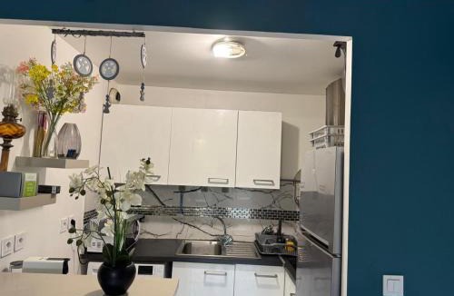 Vitry-sur-Seine Apartment | AMOUR PARIS -Orly 10min Bus -RER C Tram T9