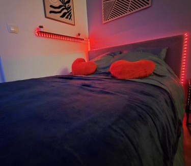 Petit-Ivry Apartment | Amour x Paris x Netflix x Wheel chair Access