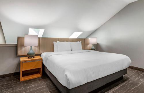 Somerset Hotel | Amwell Suites