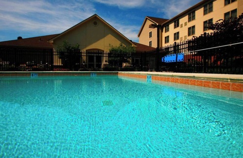 Lexington Hotel | An Accommodation for Family or Fur Parents | Free Breakfast and On-Site Parking