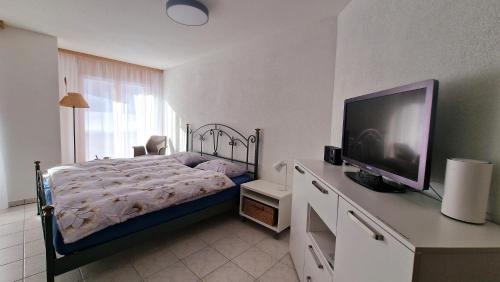 Oberwald Apartment | An der Langlaufloipe - Studio Arnica