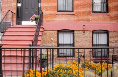 Bedford-Stuyvesant House | An Elegant And Comfortable Stay
