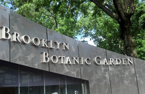 Bedford-Stuyvesant House | An Elegant And Comfortable Stay