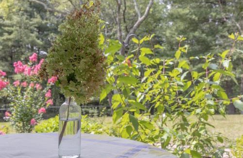 Titusville Bed & Breakfast | An Locha B&B