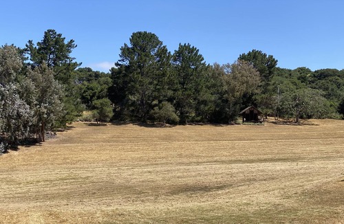 Prunedale House | An oasis on a private retreat