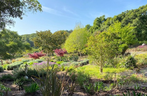 Prunedale House | An oasis on a private retreat