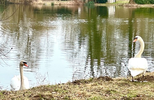 Trigny Cabin | An unusual night on the lakeshore under a Dome