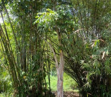 Hulu Langat Ski Chalet | ANA Homestay