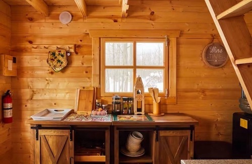 Alexandria Cabin | Anastasia’s Domain 2, Farm stay, off grid cabin in a beautiful forest!