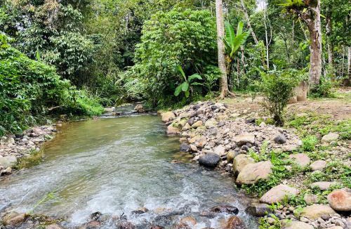 Janda Baik Other | Anatolia Retreat