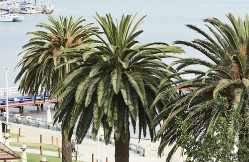 Geelong Apartment | Anchor Geelong