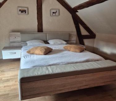 Pierrefitte-sur-Sauldre House | Ancienne étable au coeur de la sologne