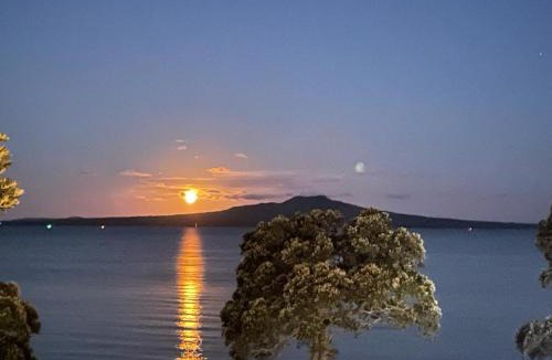 Devonport House | Andelin Guest House