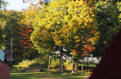 South Hartford RV Rental | Andelyn Farm Butterfly Haven Yurt. A Unique Glamping Experience in Up-State NY