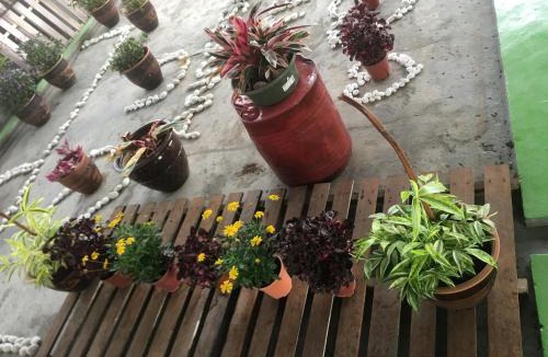 Jawa Hotel | Anderson Hotel