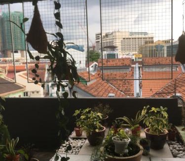 Jawa Hotel | Anderson Hotel