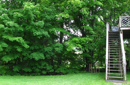 Andes Apartment | ANDES. CATSKILLS. WEDDING. LONGTERM. STREAMSIDE. VERY CLEAN