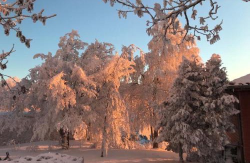 Saint-Bonnet-le-Froid House | André et Viviane Chatelard - Chambres d'hôtes