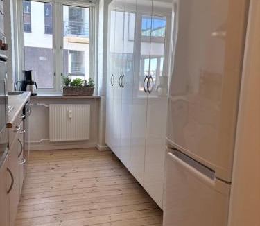 Aalborg Midtby Apartment | Andra