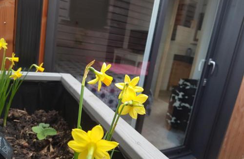 Monplaisir Apartment | Angers Green Lodge