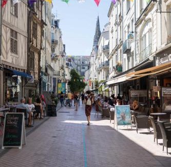 Downtown Angers Apartment | Angers Hyper Centre - Rue St Laud, 2min Ralliement