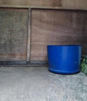 Yef Mo House | Angganeti Homestay