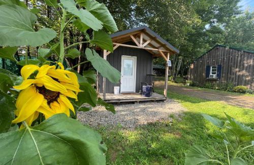 Cassadaga Other | Angies Country Cabins -Off Grid Cabins with shared hot tub access Open year round