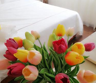 Durian Sebatang Hotel | Angsoka Hotel