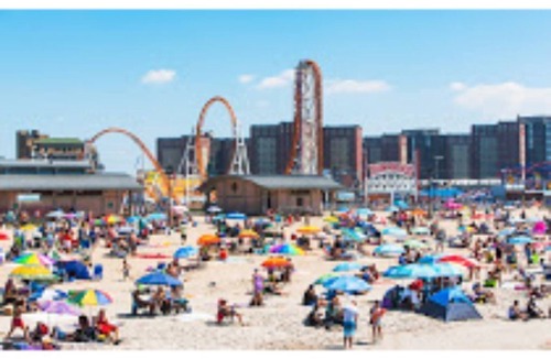 Bedford-Stuyvesant House | ANGUS1.30 minutes to airport - Chancy B 1 BR Apt #1