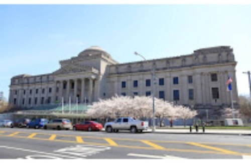 Bedford-Stuyvesant House | ANGUS1.30 minutes to airport - Chancy B 1 BR Apt #1