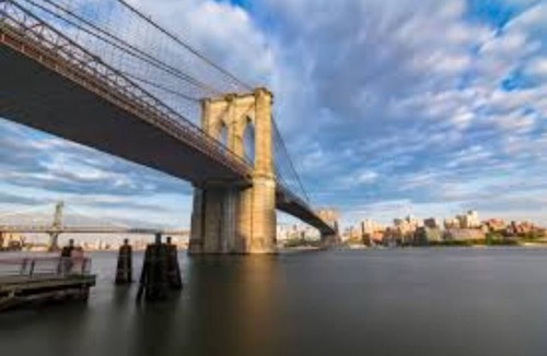 Bedford-Stuyvesant House | ANGUS1.30 minutes to airport - Chancy B 1 BR Apt #1