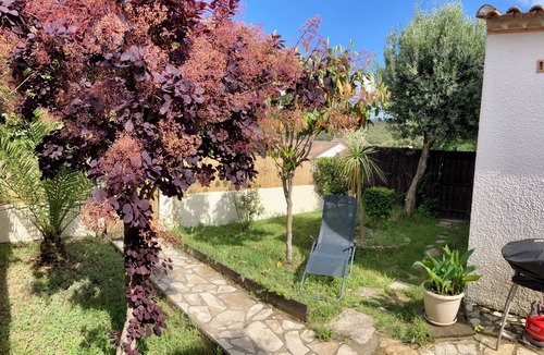 Aniane House | Aniane's olive grove cottage