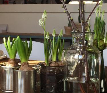 Jelling House | Anita's B & B
