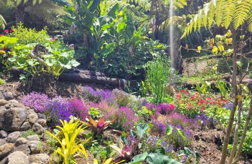 Whitianga House | Annabells B&B