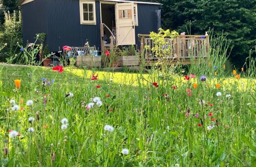 Haslemere Other | annes hatch hut