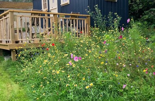 Haslemere Other | annes hatch hut