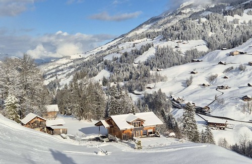 Adelboden Apartment | Anno Domini by Interhome