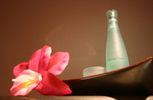 La Riviere-Saint-Sauveur Hotel | Antares & Spa Honfleur