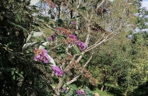 Chaux-Champagny Apartment | Anthocyanins