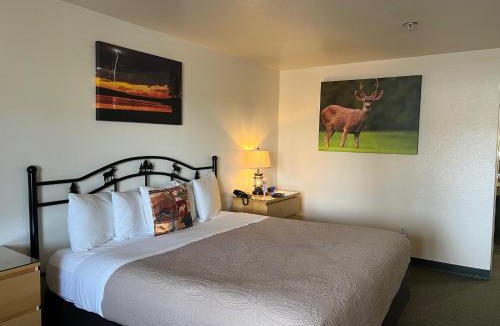 Chester Hotel | Antlers Inn