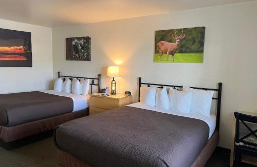 Chester Hotel | Antlers Inn