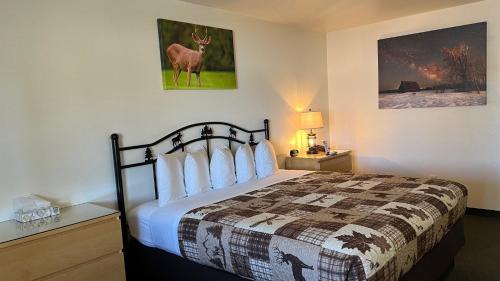 Chester Hotel | Antlers Inn